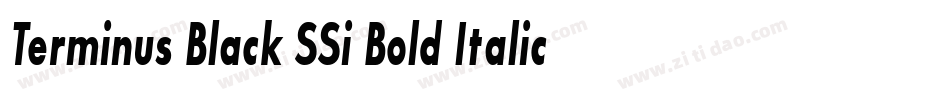 Terminus Black SSi Bold Italic字体转换